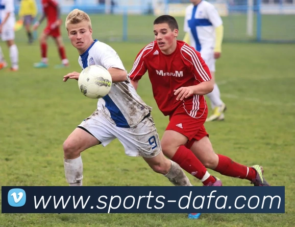 大发官网发展历程