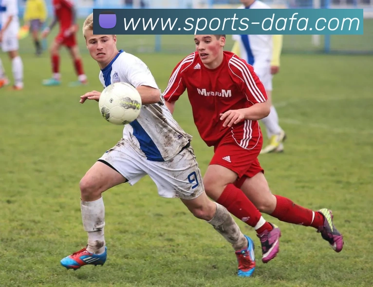 奖项证书